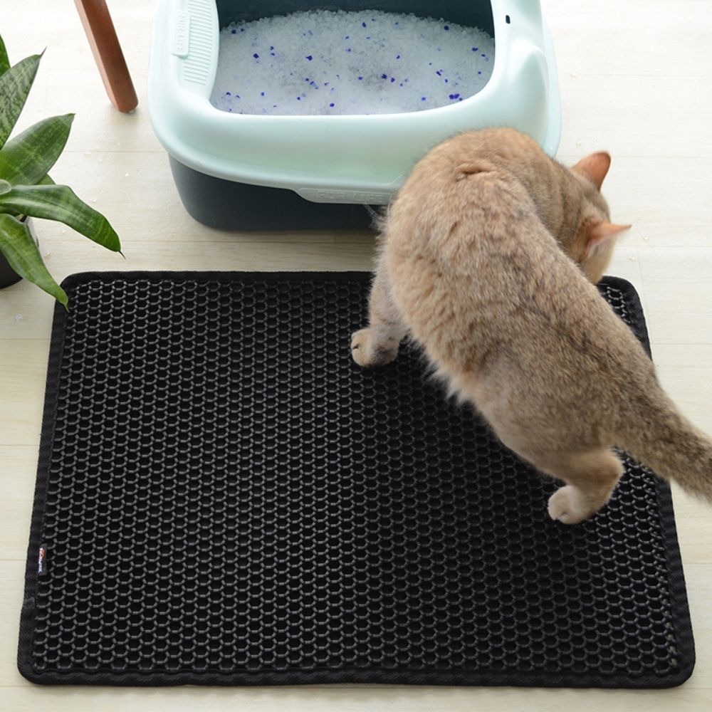 Tapis de litière pour Chats