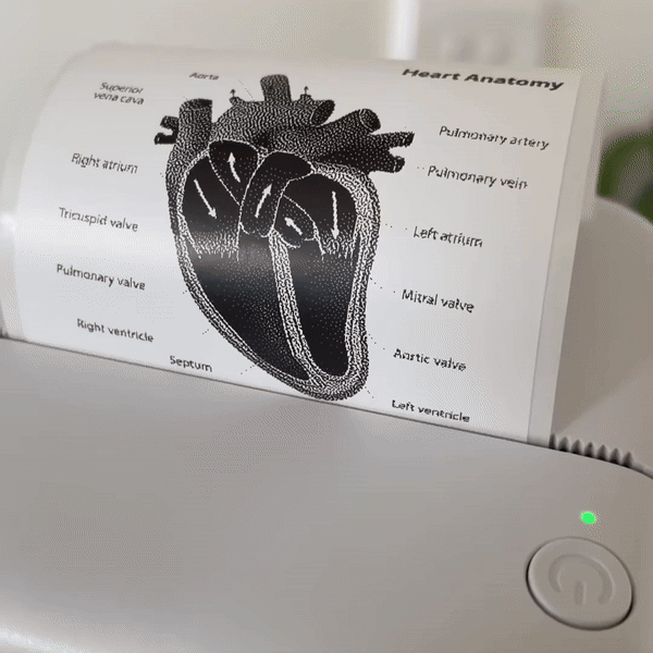 Mini Imprimante Thermique ProPrint