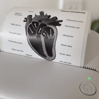 Mini Imprimante Thermique ProPrint